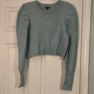 Wild Fable light blue green sweater